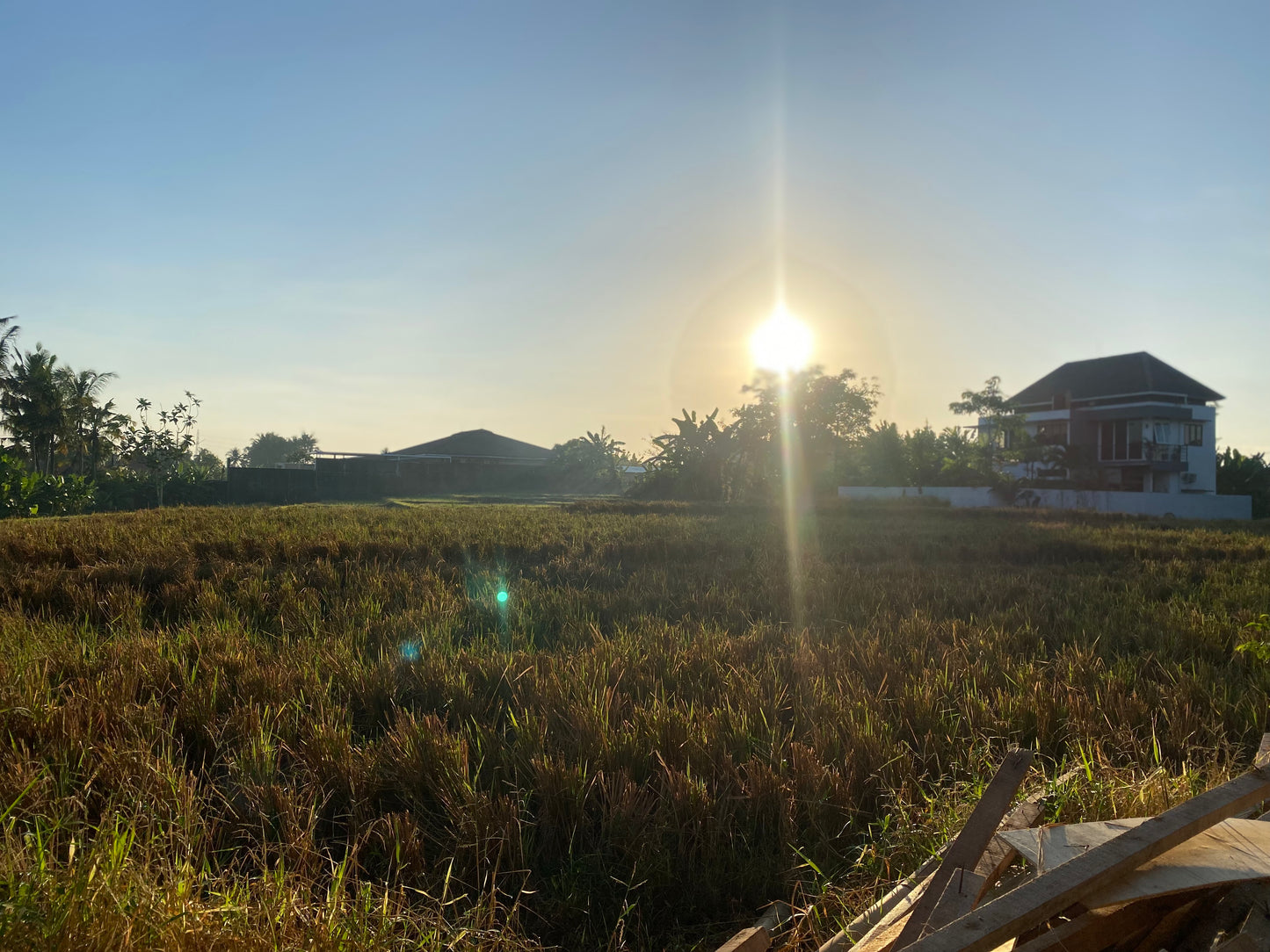 LAND FOR SALE Beraban (Tabanan)