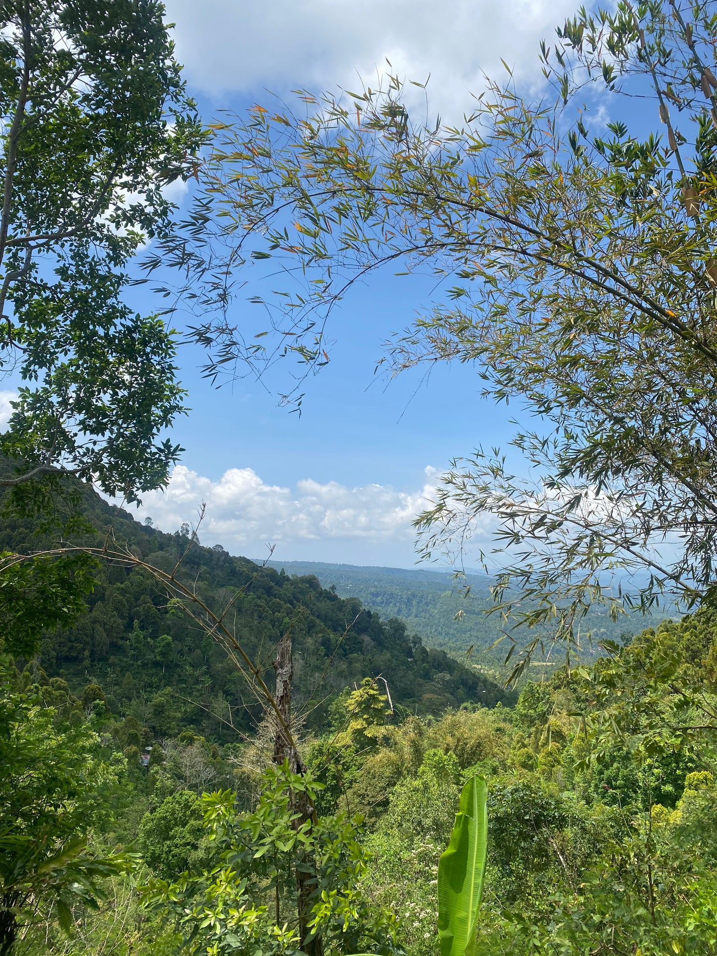 LAND FOR SALE Munduk (Leasehold)