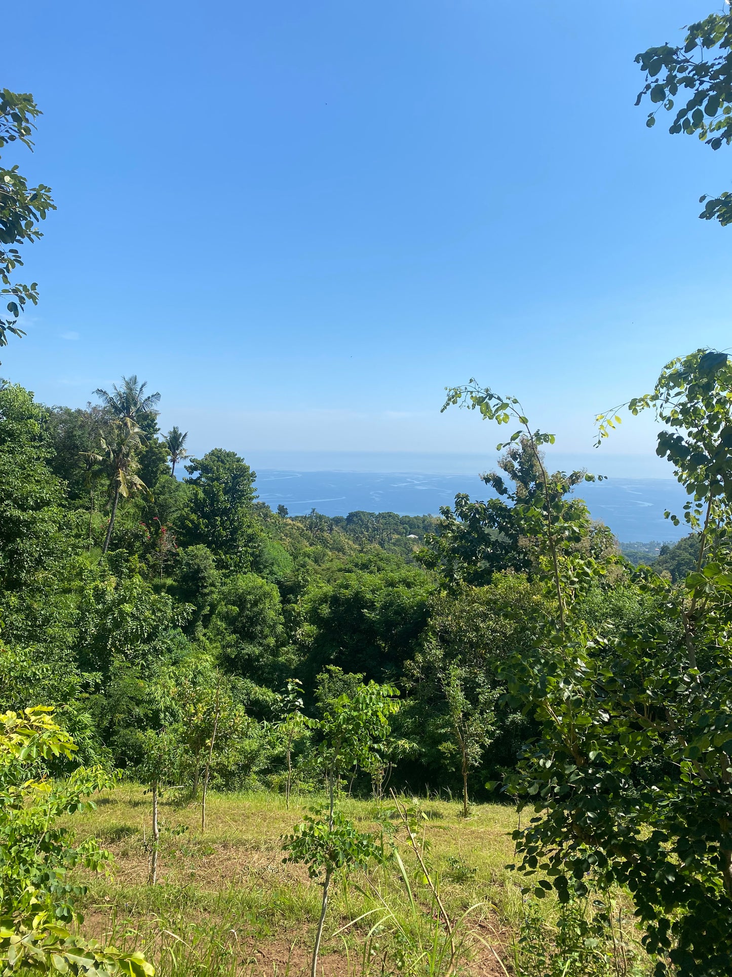 LAND FOR SALE Cempaga (Lovina)