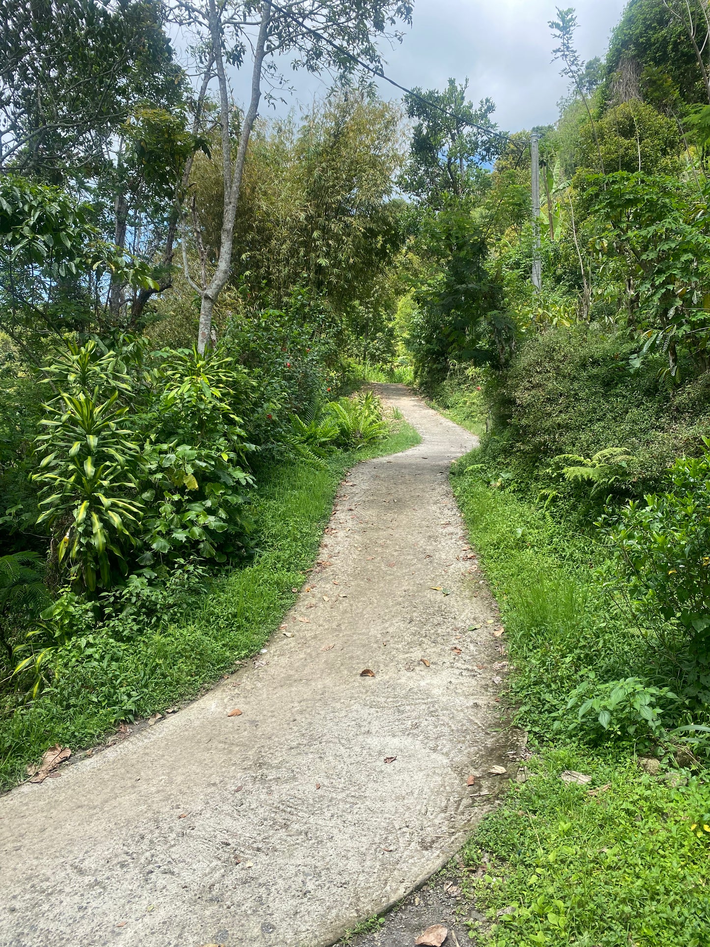 LAND FOR SALE Munduk (Leasehold)