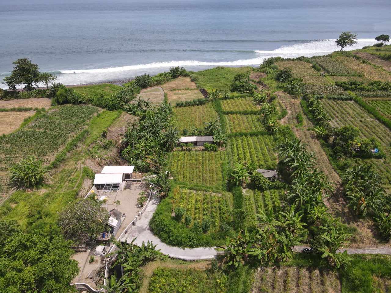 LAND FOR SALE Klotok (Klungkung)