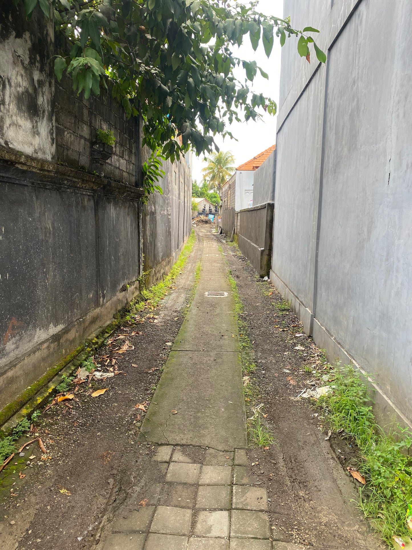 LAND FOR SALE Beraban (Tabanan)