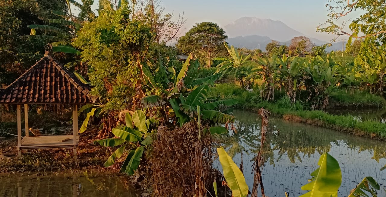 LAND FOR SALE Klotok (Klungkung)