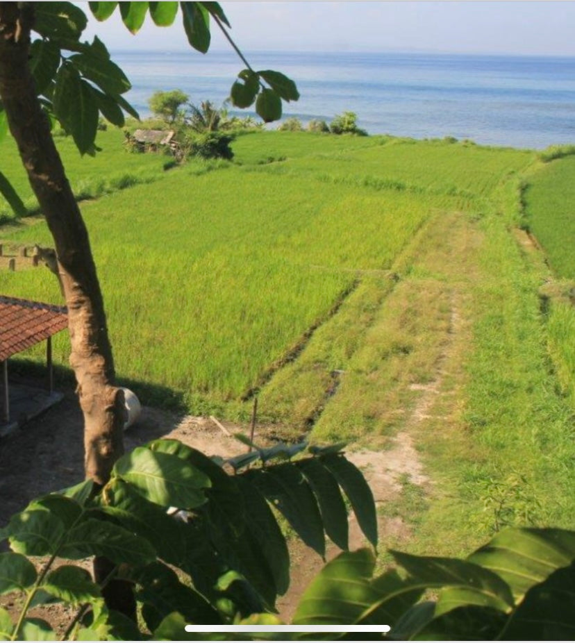 LAND FOR SALE Klotok (Klungkung)