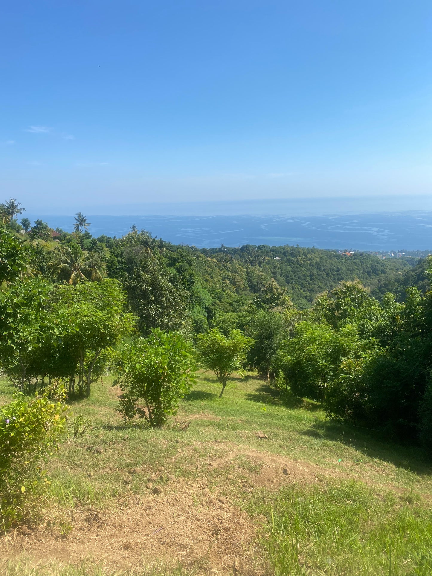 LAND FOR SALE Cempaga (Lovina)