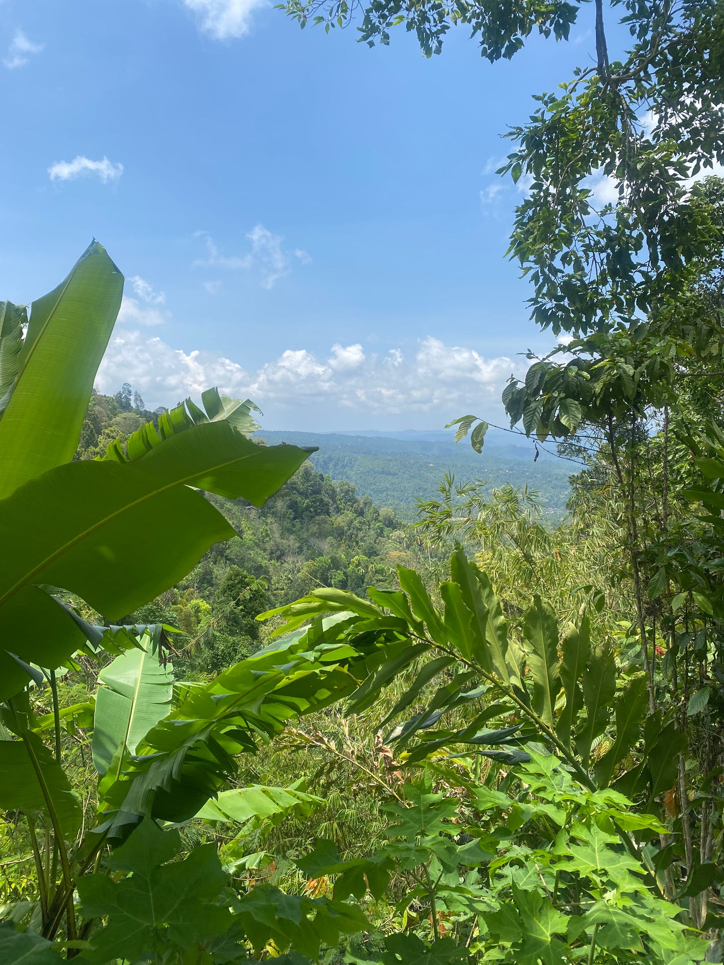 LAND FOR SALE Munduk (Leasehold)