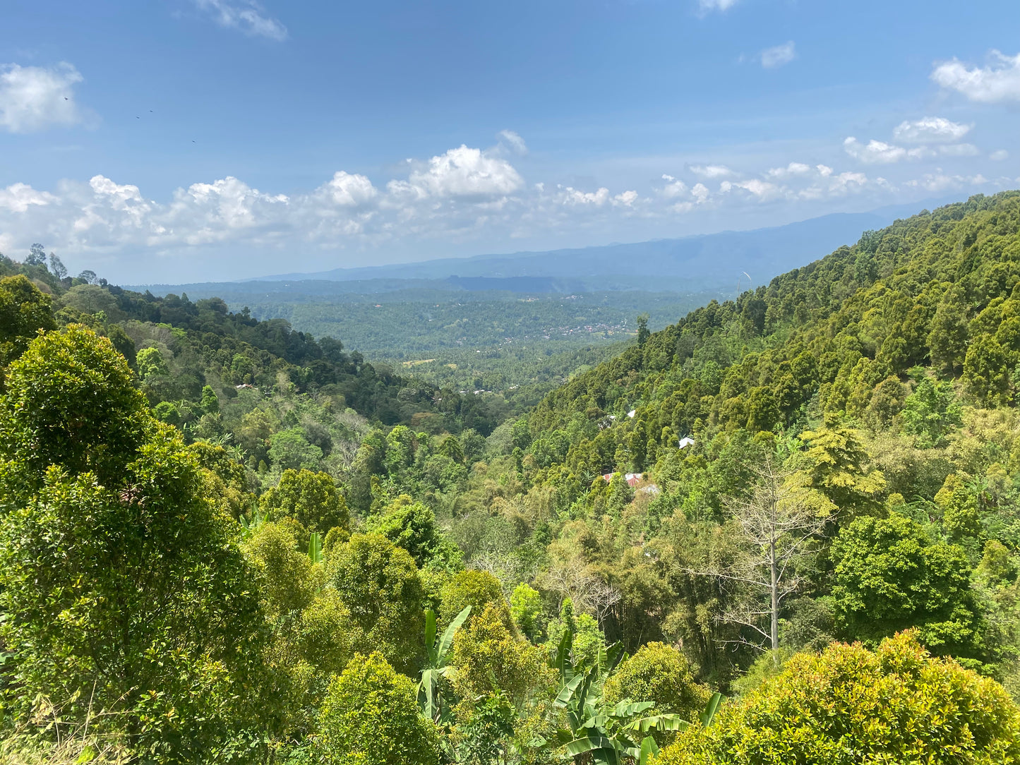 LAND FOR SALE Munduk (Leasehold)