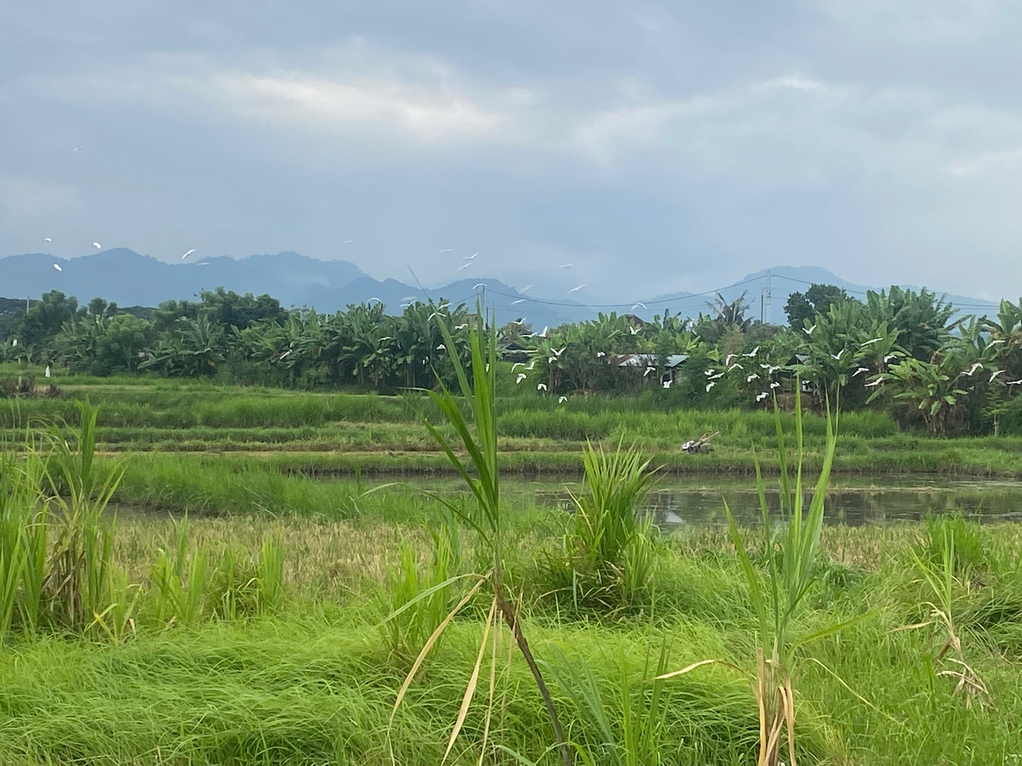 LAND FOR SALE Klotok (Klungkung)