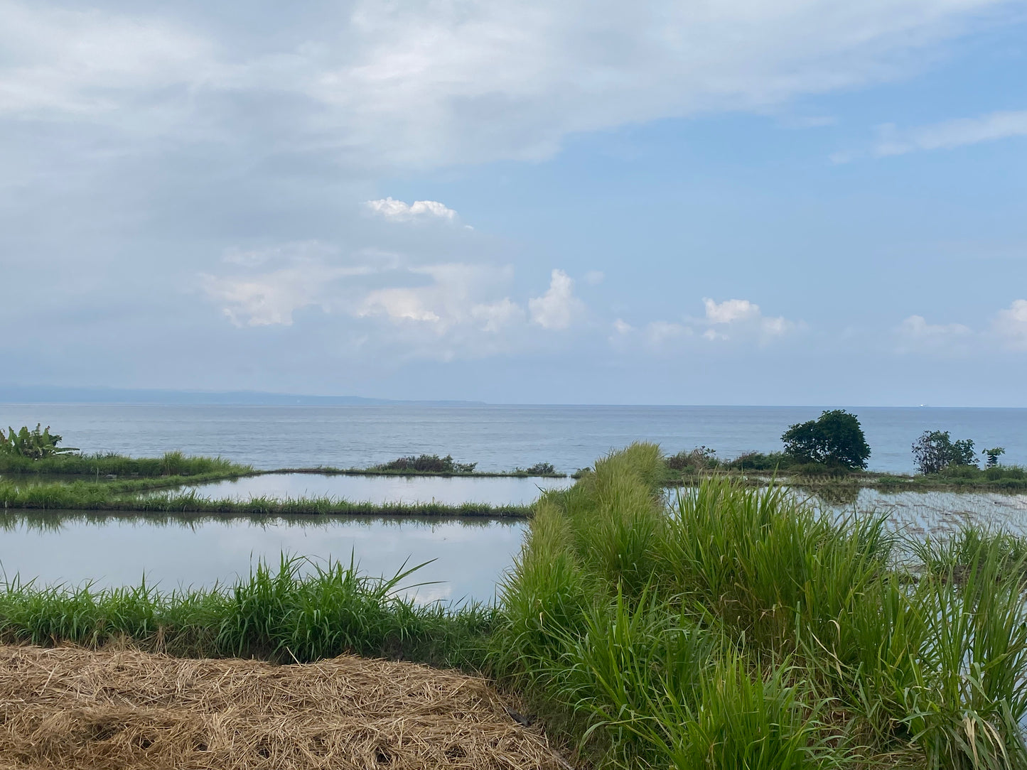 LAND FOR SALE Klotok (Klungkung)