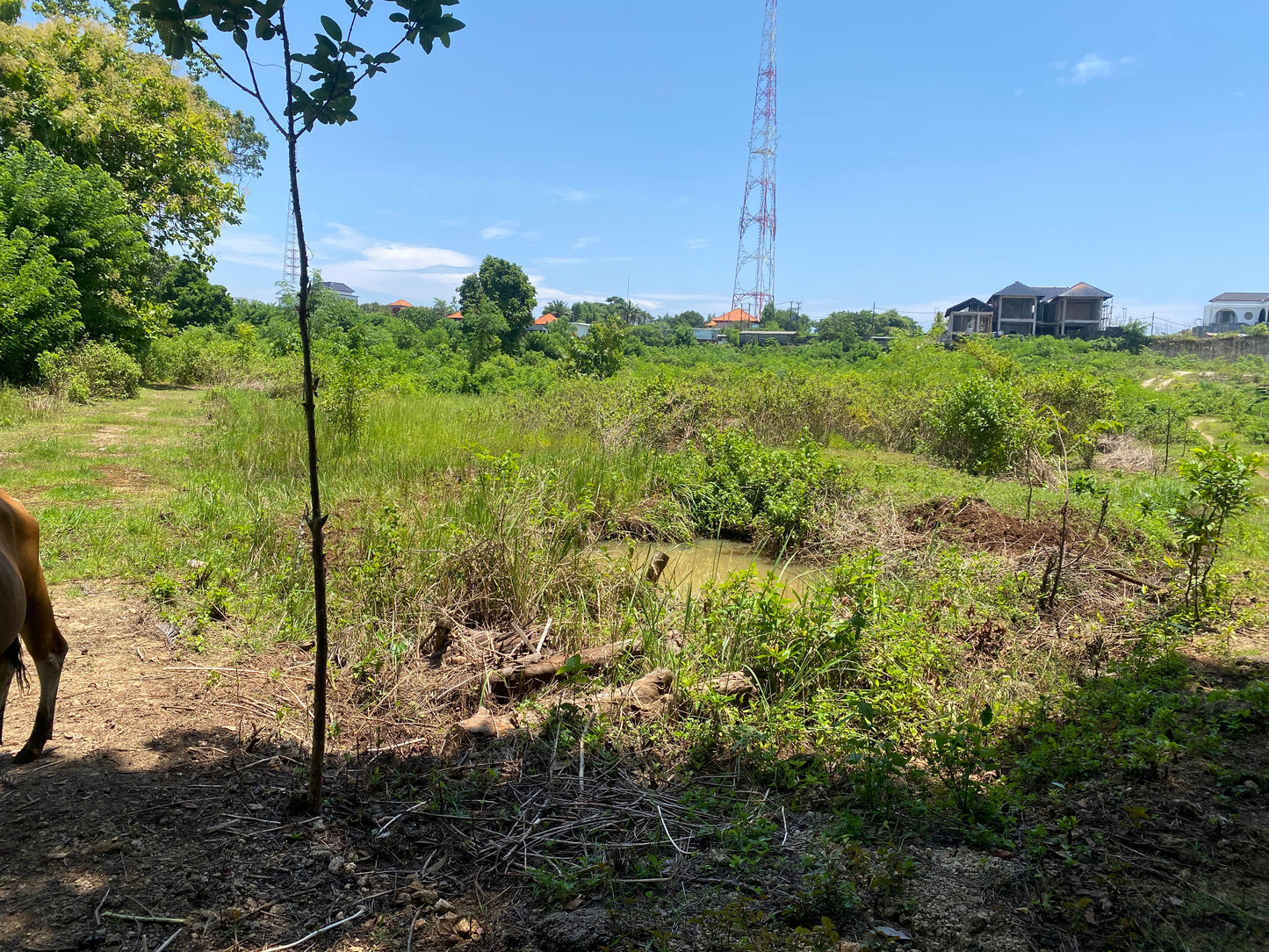 LAND FOR SALE Pandawa beach