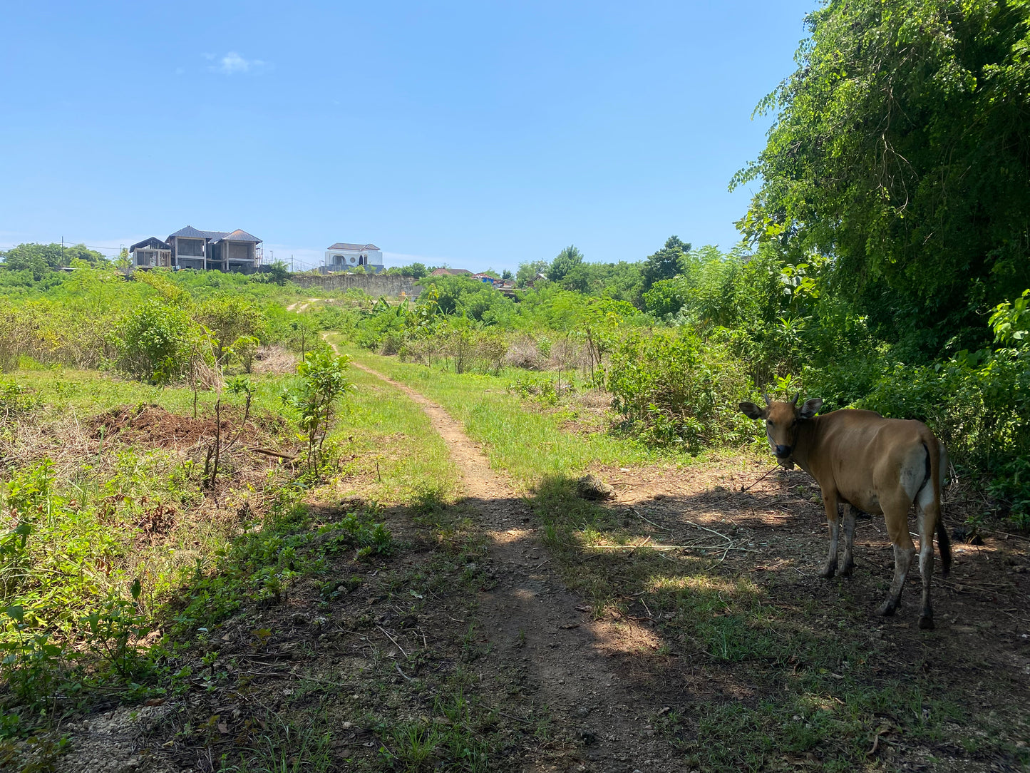LAND FOR SALE Pandawa beach