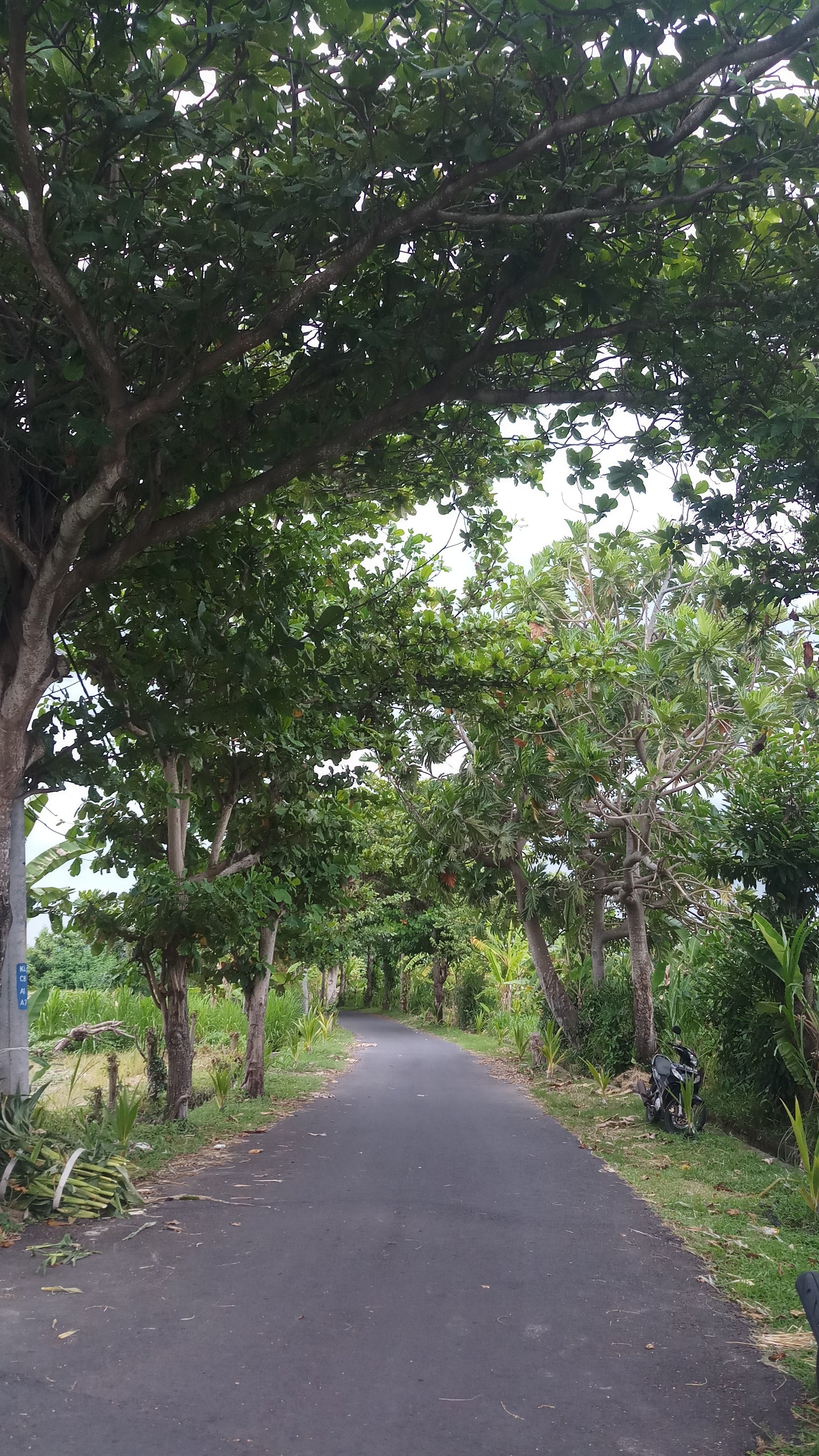 LAND FOR SALE Klotok (Klungkung)