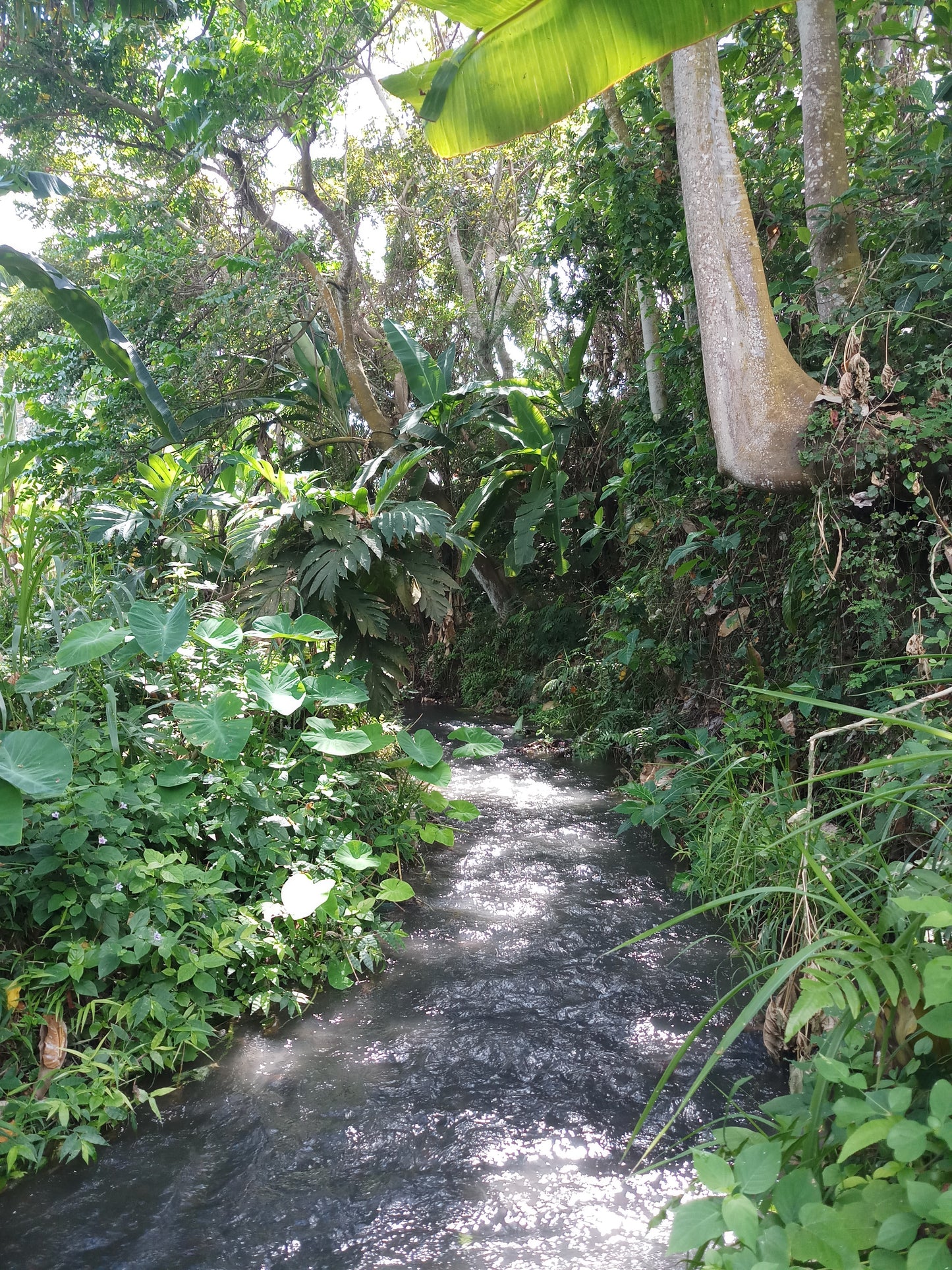 LAND FOR SALE Klotok (Klungkung)