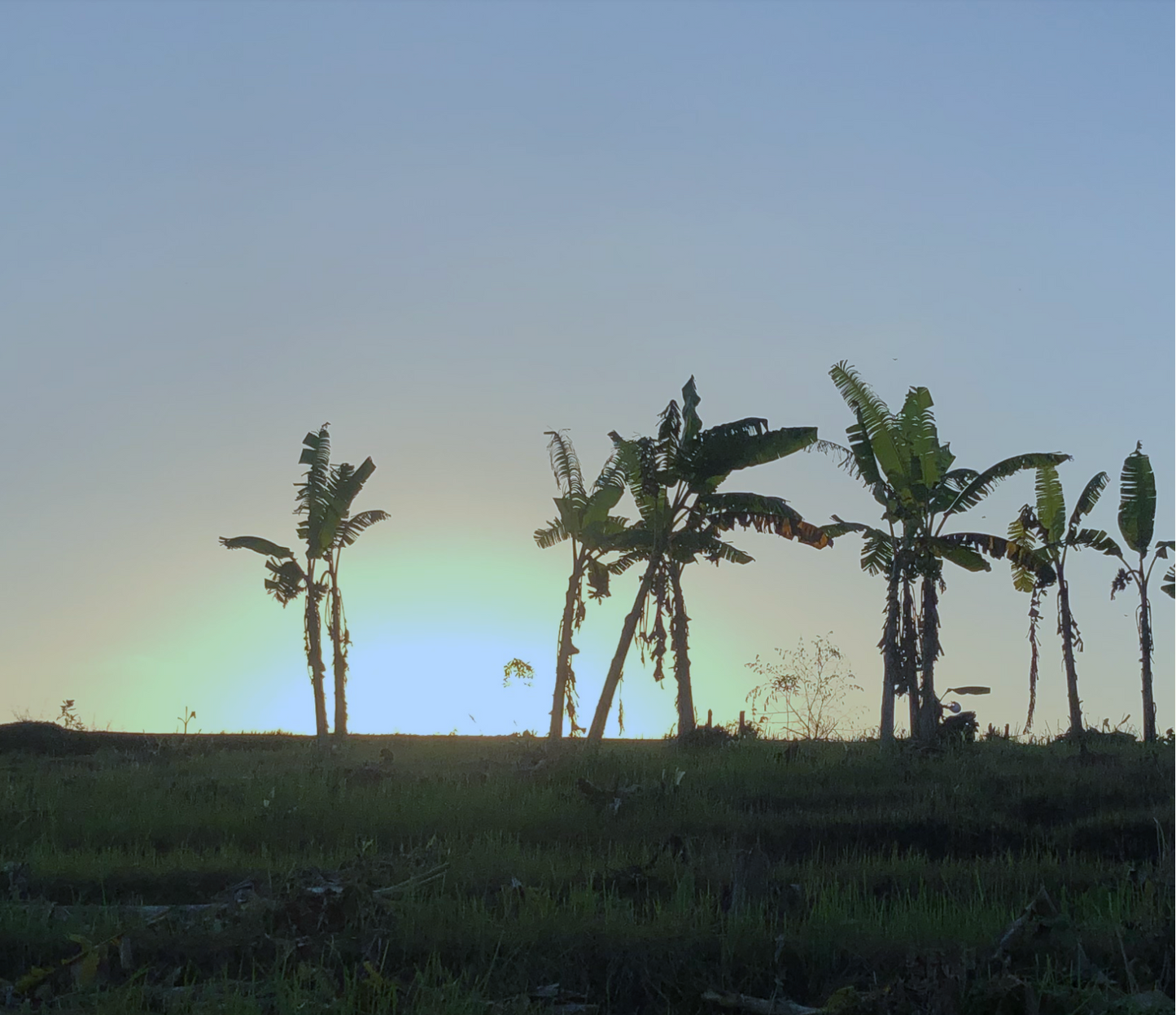 LAND FOR SALE Kelating (Tabanan)