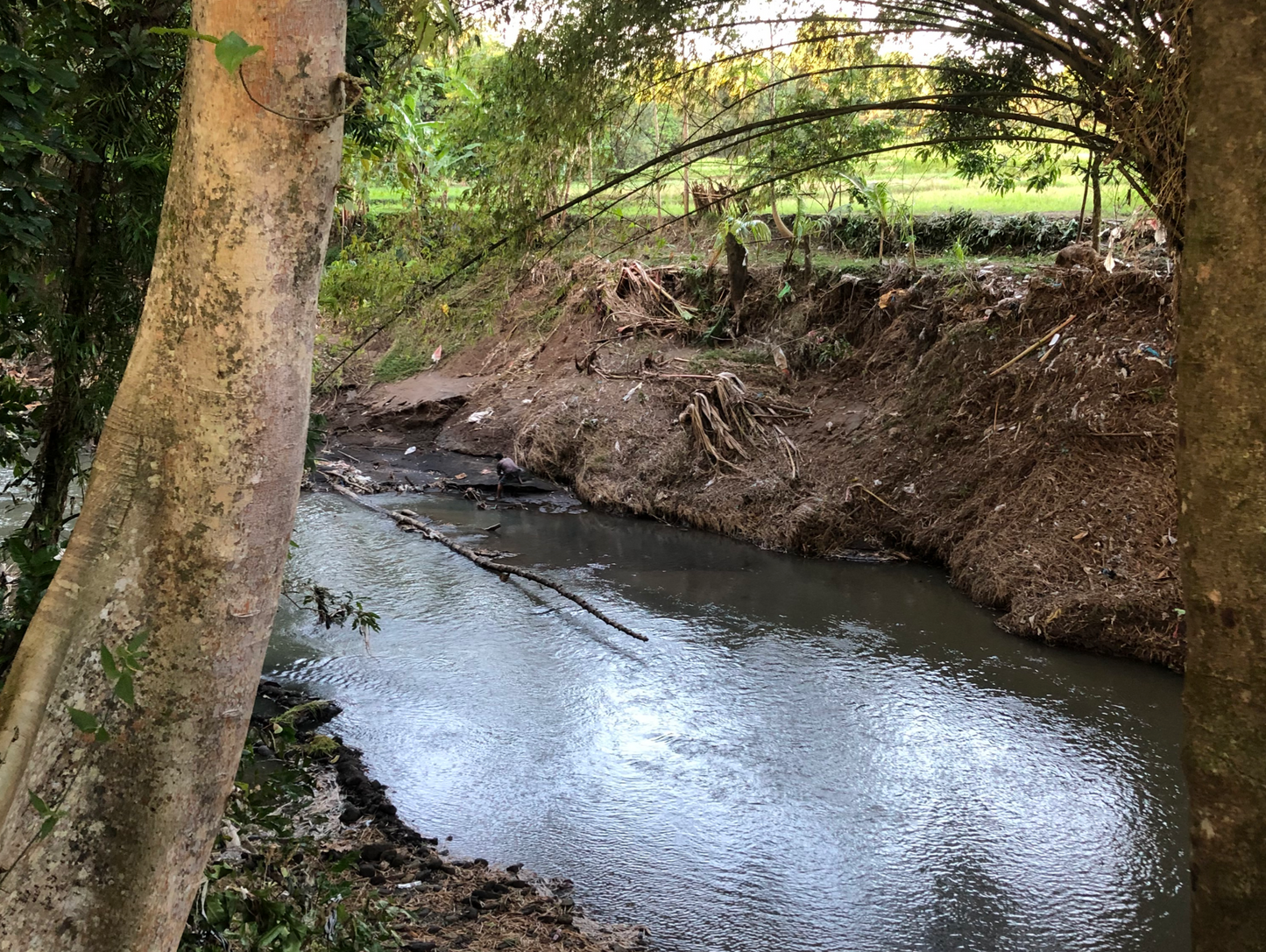 LAND FOR SALE Kelating (Tabanan)