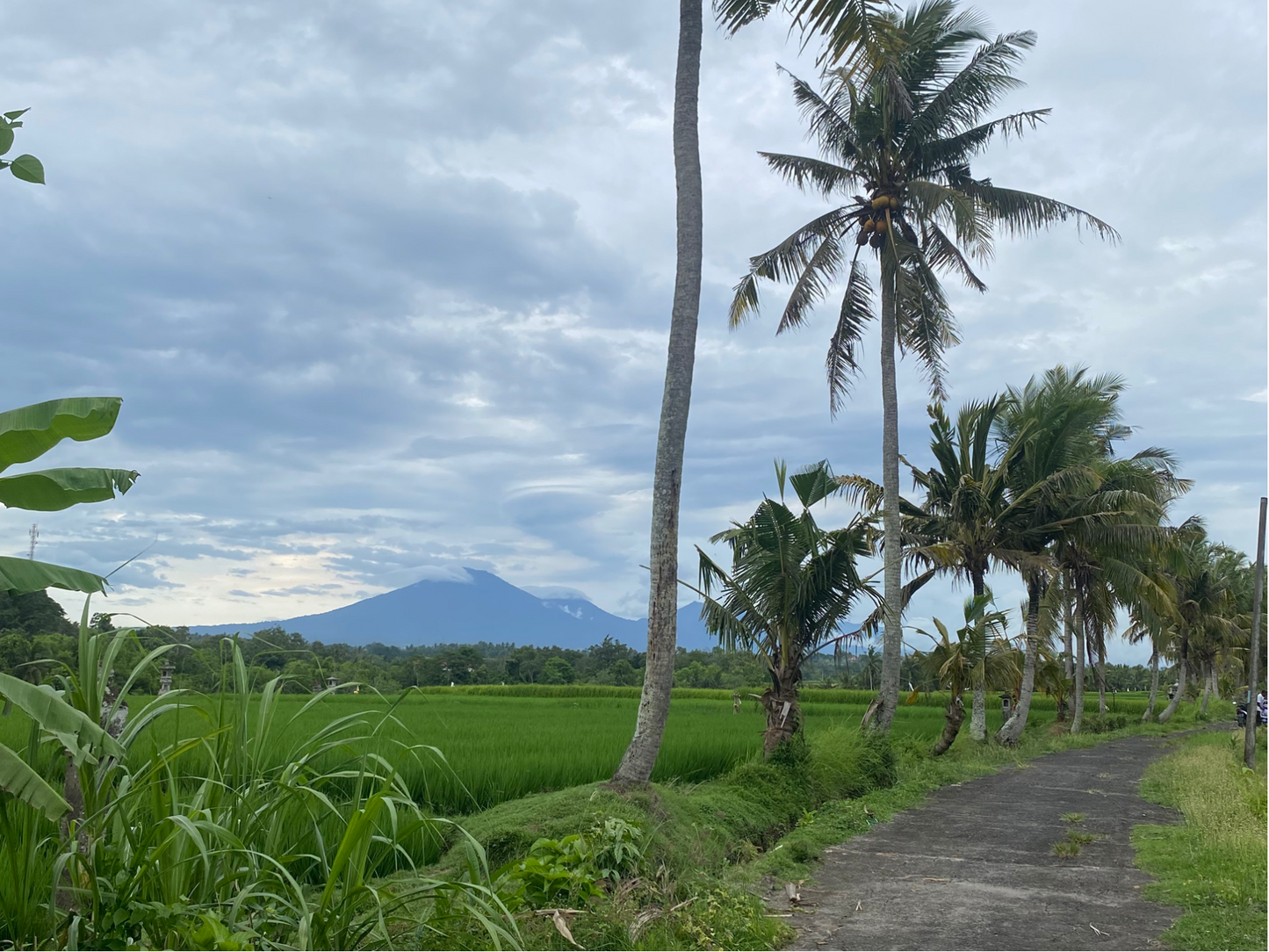 LAND FOR SALE Kelating (Tabanan)