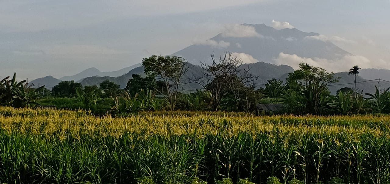 LAND FOR SALE Klotok (Klungkung)