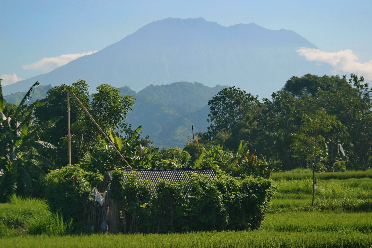 LAND FOR SALE Klotok (Klungkung)