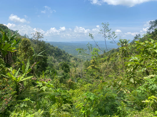 LAND FOR SALE Munduk (Leasehold)