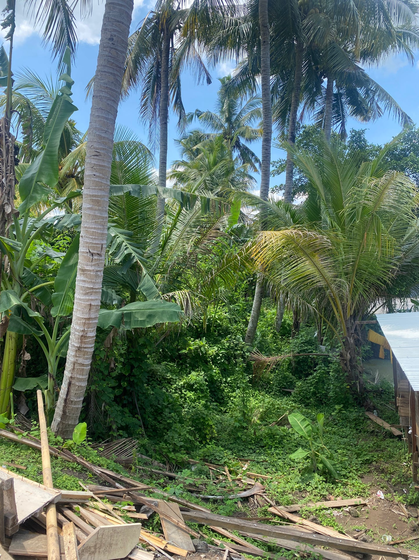 LAND FOR SALE Beraban (Tabanan)