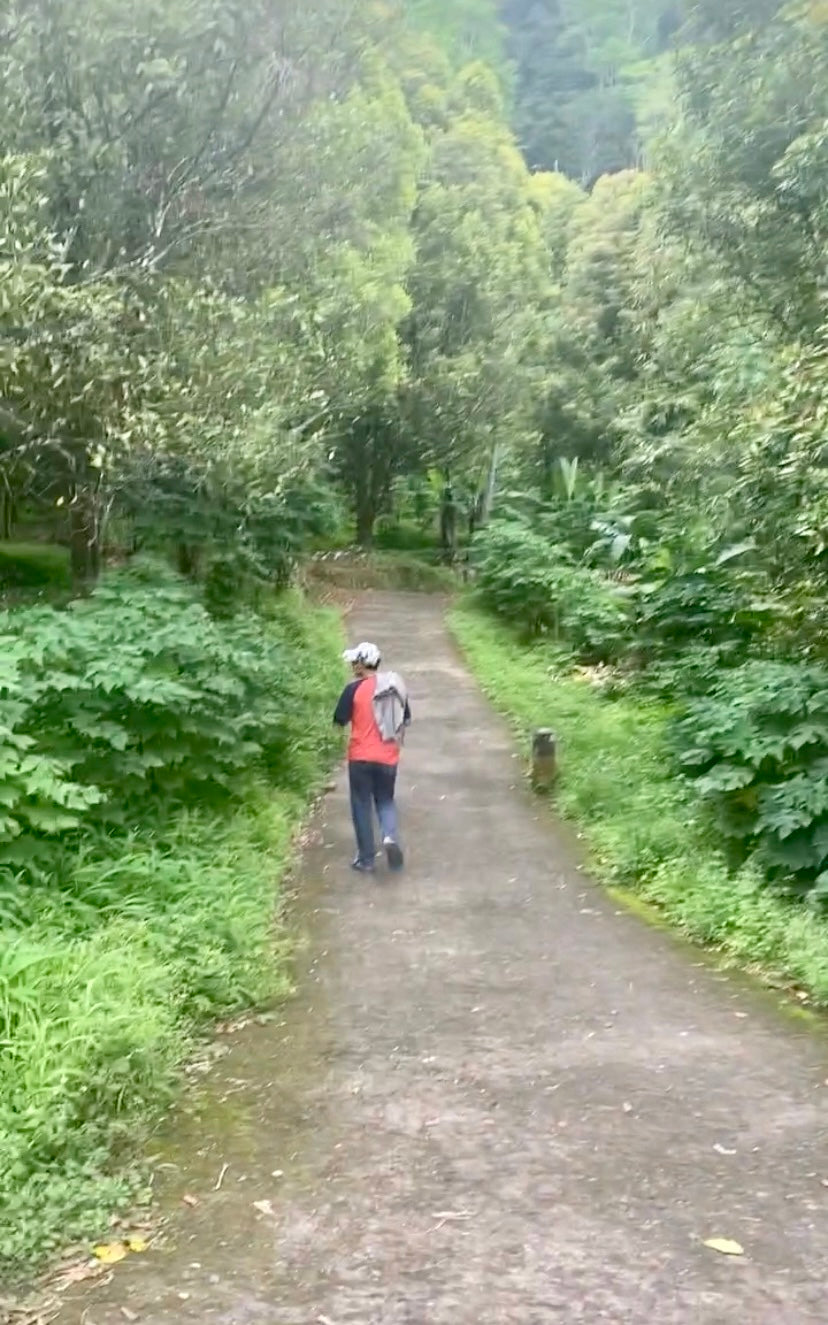 LAND FOR SALE Munduk (Leasehold)