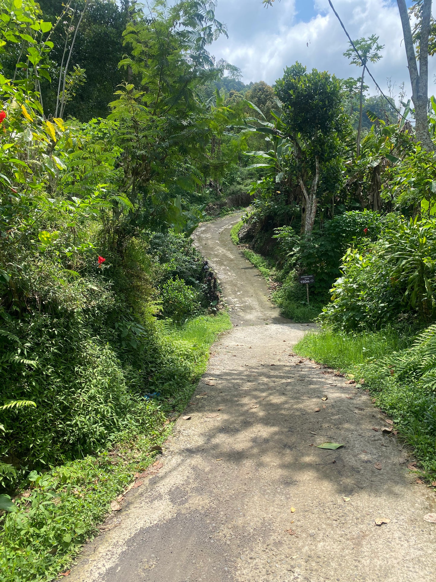 LAND FOR SALE Munduk (Leasehold)