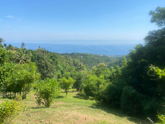 LAND FOR SALE  Cempaga (Lovina)