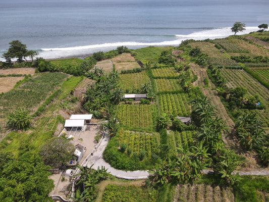 LAND FOR SALE Klotok (Klungkung)