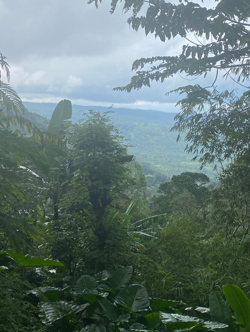 LAND FOR SALE Munduk (Leasehold)