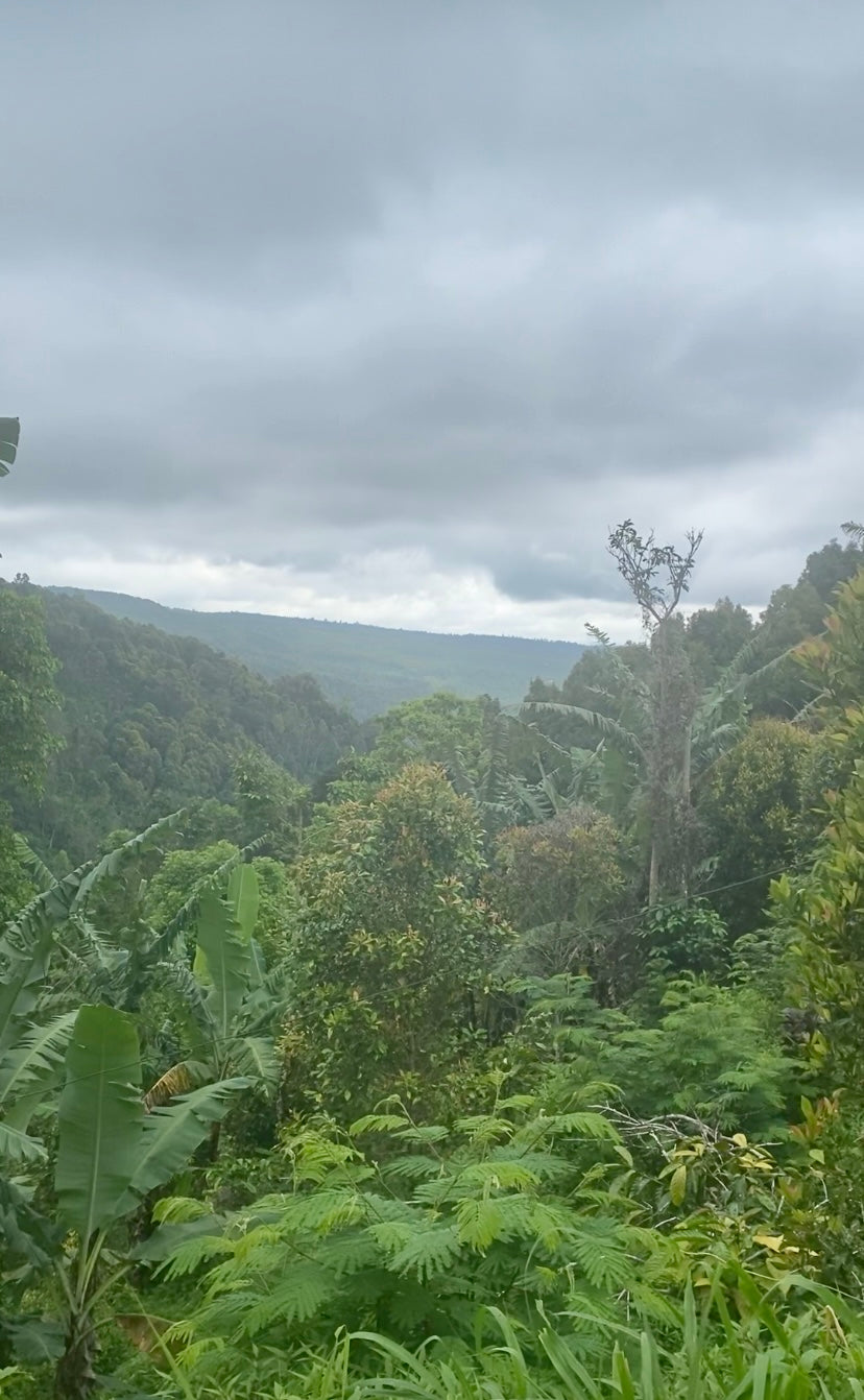 LAND FOR SALE Munduk (Leasehold)