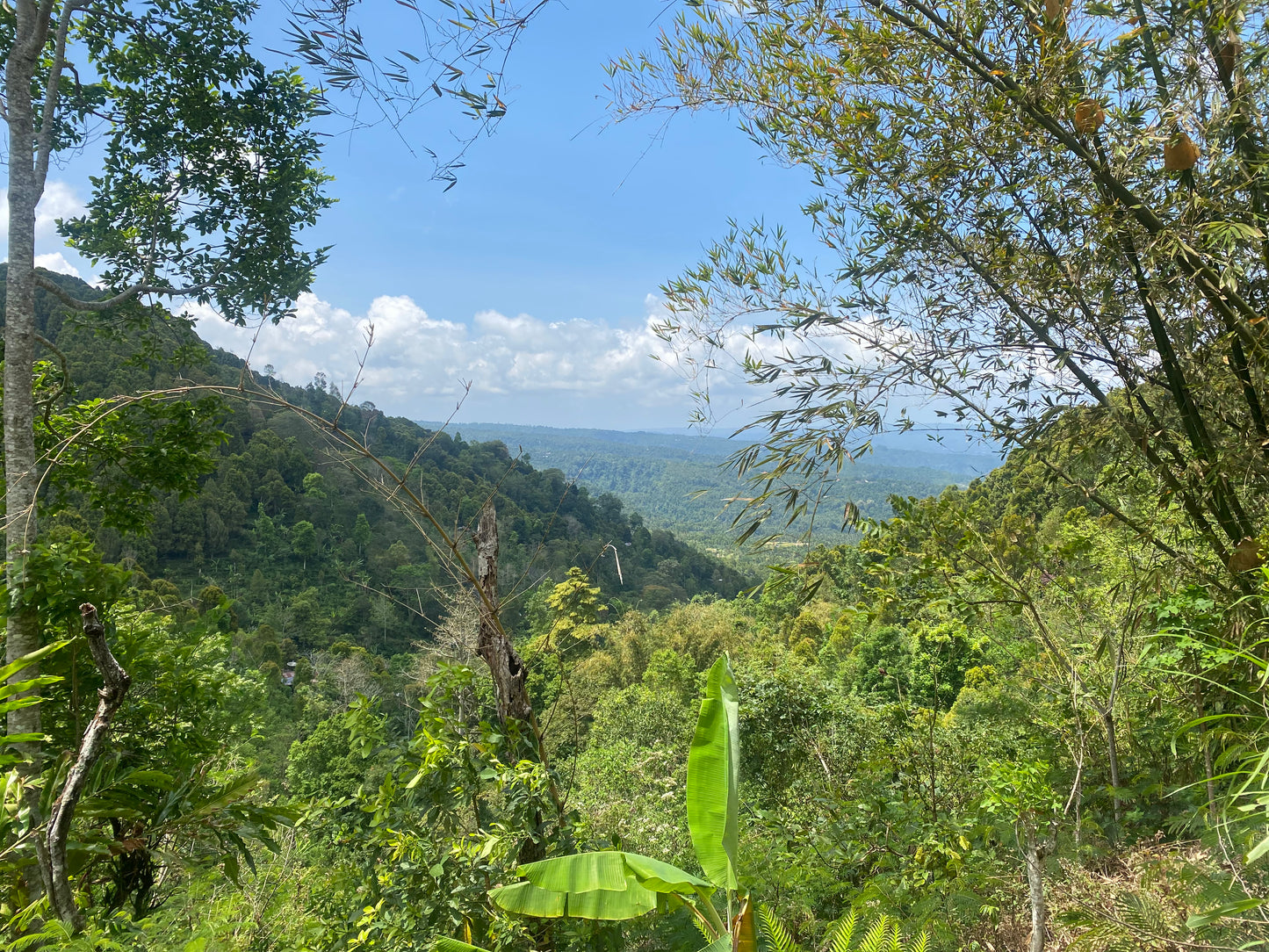 LAND FOR SALE Munduk (Leasehold)