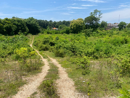 LAND FOR SALE Pandawa beach